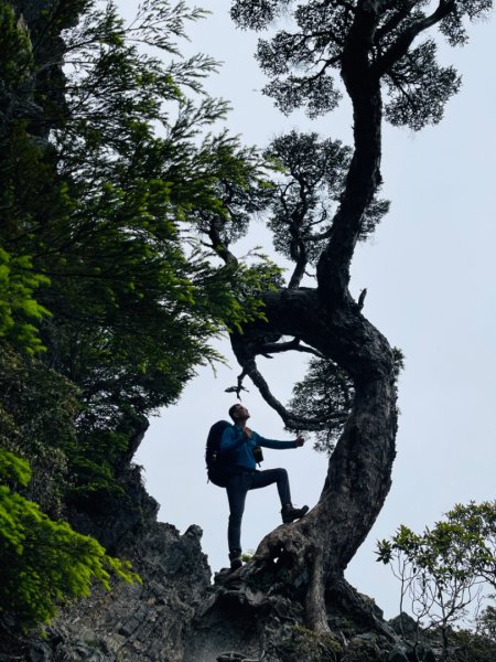 1120709-10武陵二秀｜品田山-池有山2214585