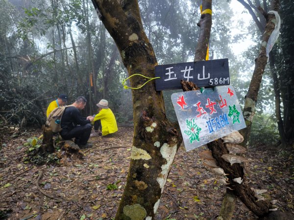 2025-03-08 汶水三山：金童山、汶水山、玉女山 連走2736553