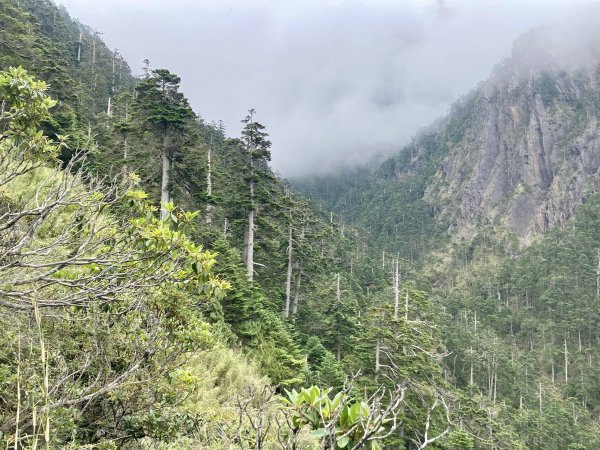 玉山北峰主峰東峰2560042