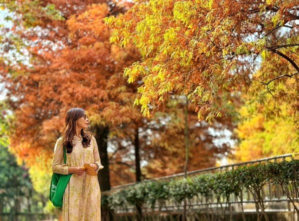 龍過脈森林步道2960912