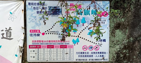 大分林山步道-2022/01/081577915