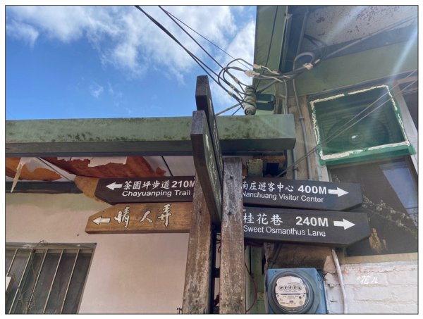 茶園坪山 O型路線2750563