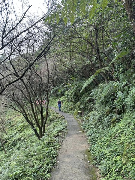 紅淡山步道&槓子寮山 / 小百岳No4&7/基隆2045285