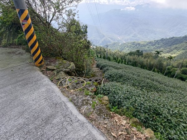 華山4-2號步道上雲嘉連峰2579333