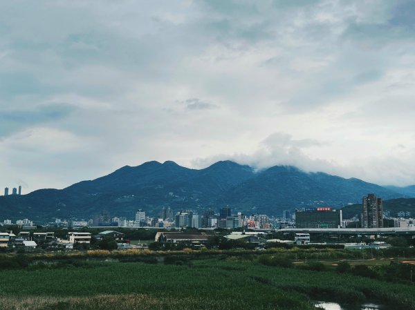 2023 臺北大縱走 8：捷運關渡站至華江雁鴨自然公園(上)2079490