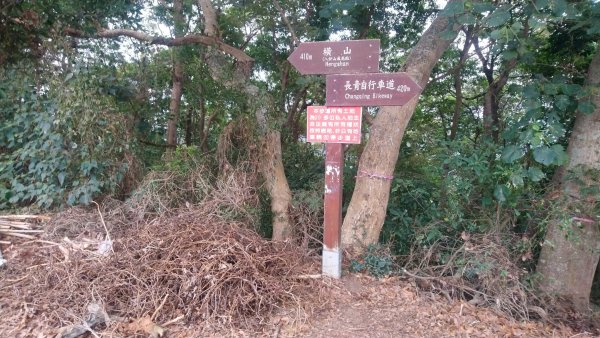 連走松柏坑山和橫山小百岳1555575