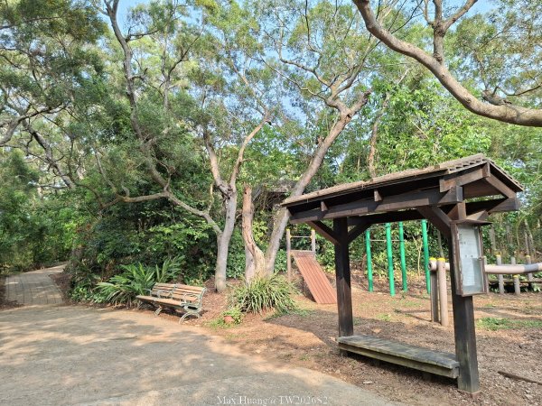 《台中》綠色隧道｜大肚環保公園登山步道O繞202604183038507