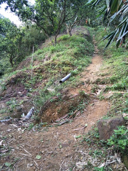 龍船岩、開眼山步道1783651