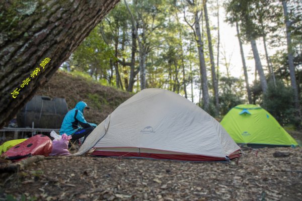 大小劍-油婆蘭全紀錄2674219