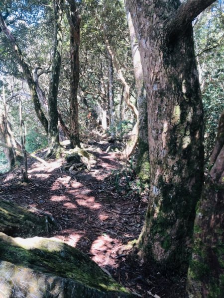 2019/03/02 北大武541997