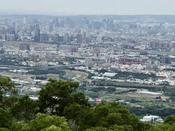 新田登山步道上聚興山437329