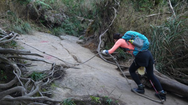 加里山登山健行趣(小百岳42)1527338