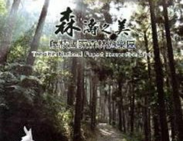 【DVD】森濤之美 藤枝國家森林遊樂區