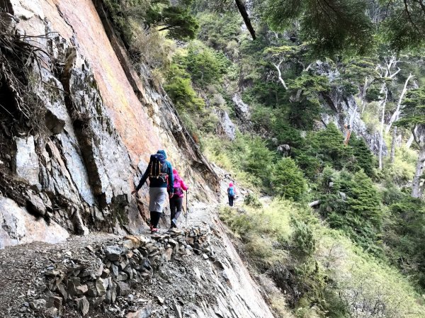 玉山主峰2018/3/151210834