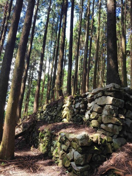 大混李棟山2816316