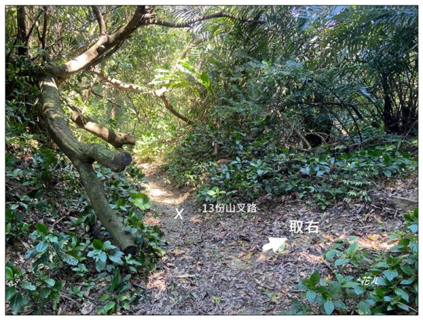 草嶺山、白石山、頭寮山 六連峰 O型路線2798582