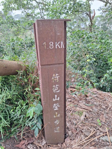 古坑荷苞山步道+小溪子山202411032642255