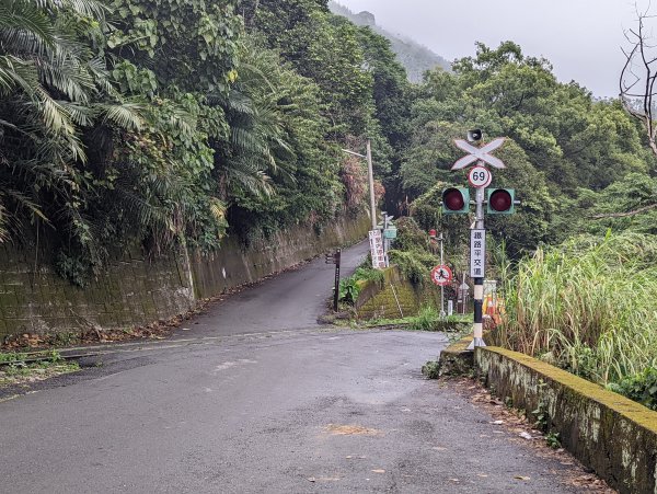 雲海、鐵道、竹林、茶園@景觀變化多且視野展望佳的雲嘉七連峰1559358