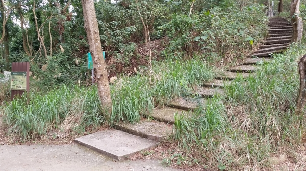 彰化縣田中鎮-田中森林登山步道89973