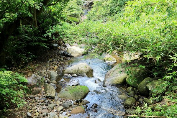 夏日消暑步道~狗殷勤古道菁華版142138