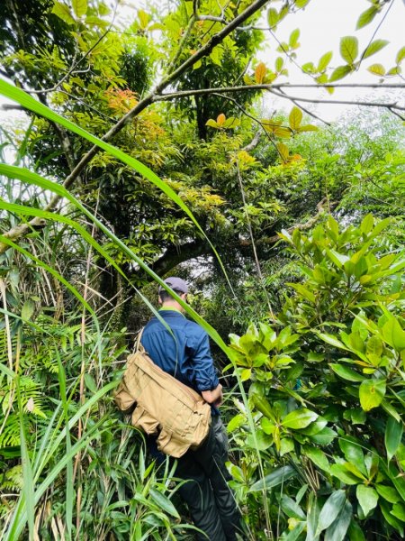 淡蘭中路（暖暖車站-十分車站）1685529
