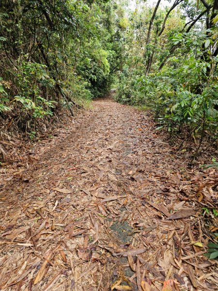 西阿里關山-小百岳#66-高雄市甲仙區2749988