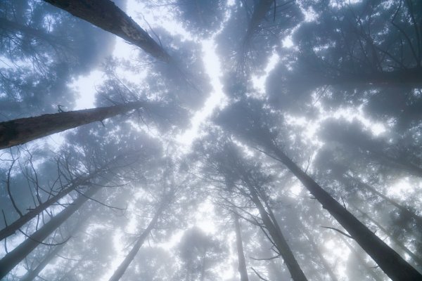 高島縱走（這次有人陪我去了泣）838515