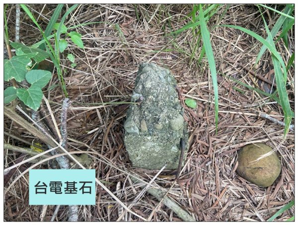 禁山 (苗栗/苑裡)2794876