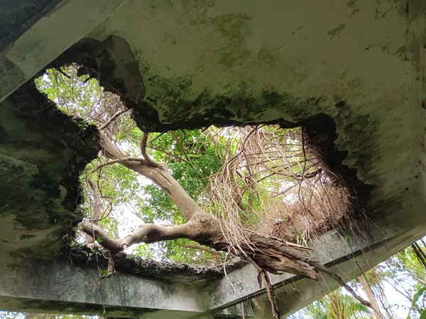 微笑山線和美山螢火蟲段2986172