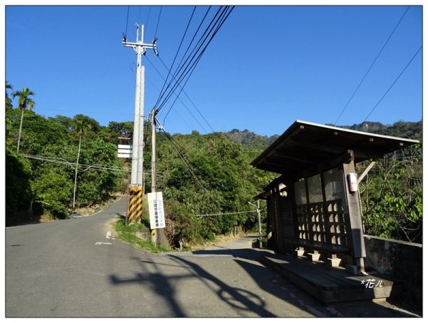 大坑3號步道/頭嵙山1223206