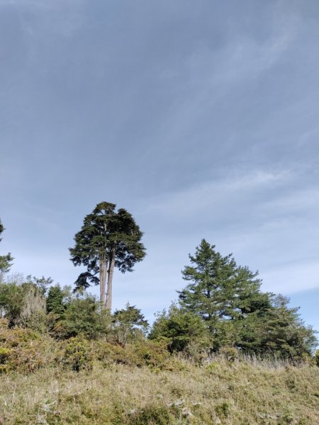 💦石山引水道⛰️石山涼涼走😆😆😆202207161765829