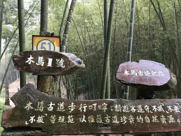 110年4月25日雲林  雲嶺之丘 五元二角 木馬古道1456543