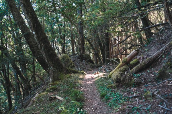 霞山鐵道野營2843082