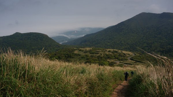 陽明山西段縱走 O形1916283