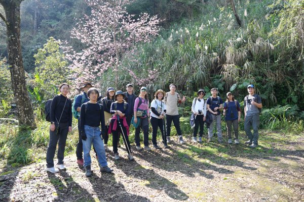 鵝公髻山X山上人家2729192