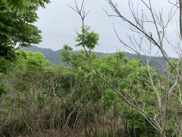 20250405屏東內南世山-西霧里乙山2757796