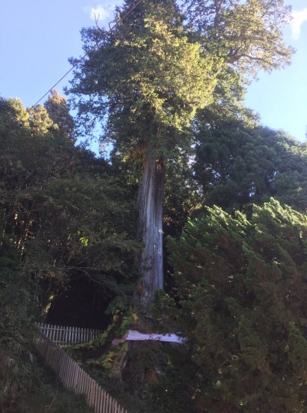 20211120南投郡大山1525095