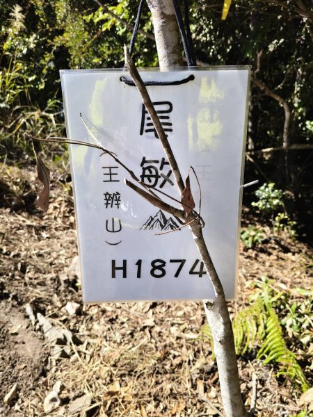 20260215台中南投裡冷尾敏山，又稱王辨山3000578