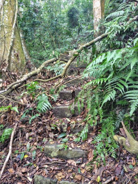 鳳鳴古道 鳳鳴山 南隘勇（南長城）古道 三湖山 八達嶺（龍骨）古道 綠色古道 延平古道2975300