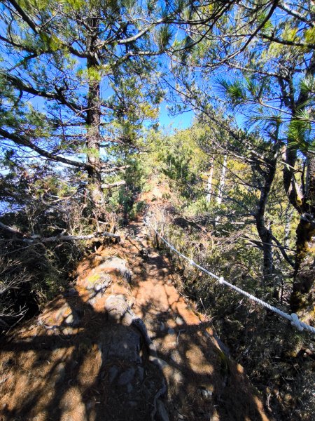 2026-02-09 庫哈諾辛山2998944