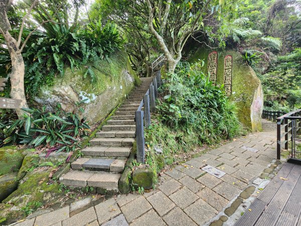 20251109四獸山步道2961731