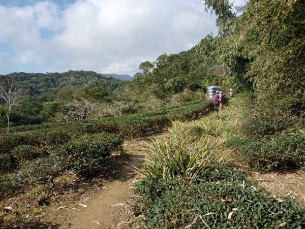 雷公埤山-鱷魚島觀景-小格頭獅頭山2001538