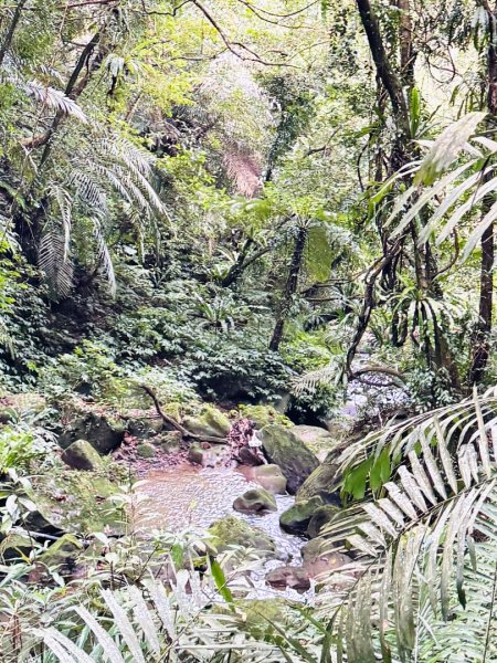 炮子崙瀑布2769574