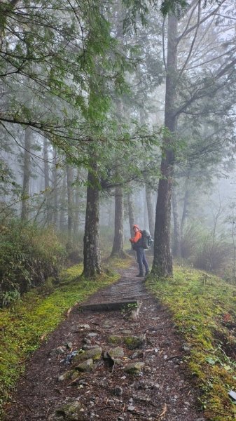 20250319～20嘉明湖國家步道🥶🥶🥶殘念😭2739790