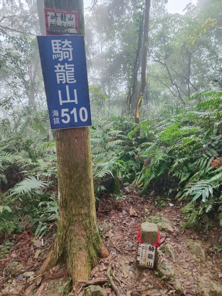 九讚頭車站-大崎棟.茶亭.逃學.騎龍古道20幾K繞大O2972530