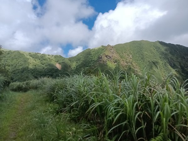 瑞芳區找尋半屏大瀑布未果2880968