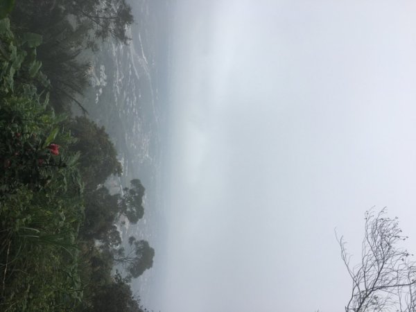 38溪洲山2729724
