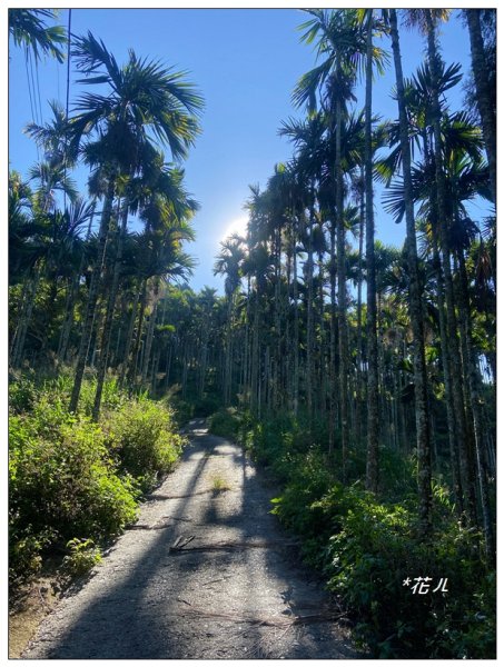 雨後頭縱走 (日月潭)2694394