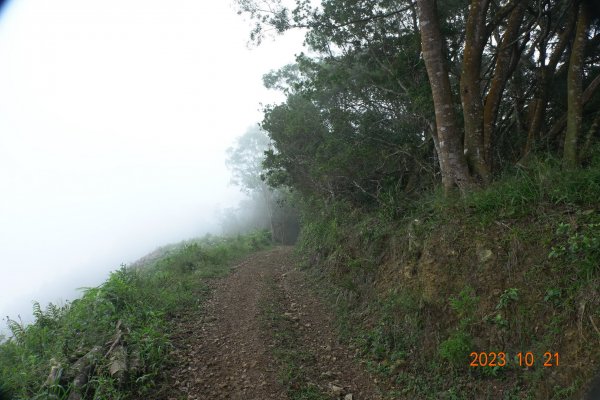 南投 烏來山、南阿冷山、中阿冷山、阿冷山東南峰2325531