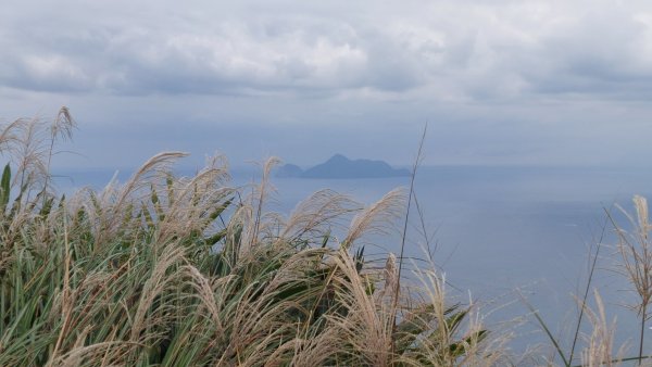 2021/11/12 草嶺古道雨中行1512733